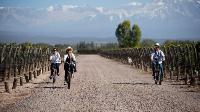 Faites du v&eacute;lo &agrave; travers les vignobles de Mendoza avec cette excursion &agrave; v&eacute;lo sur les routes du vin, et d&eacute;gustez les meilleurs vins tout en p&eacute;dalant !
