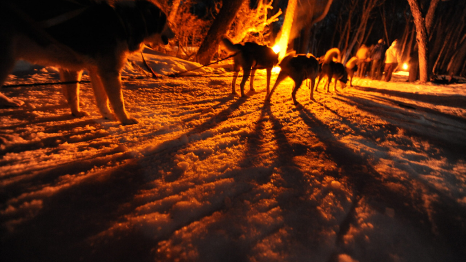 Between snowmobiles, ice walks, huskies and a delicious dinner you can spend it in Ushuaia, the land of the end of the world!