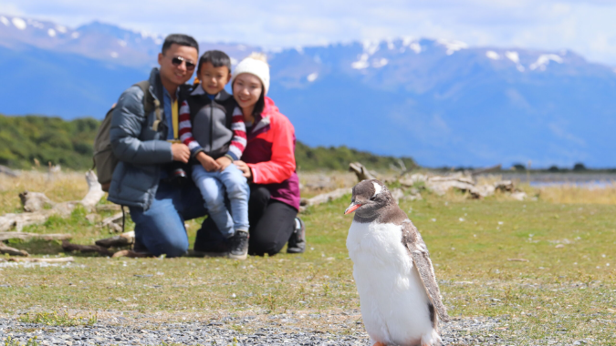 ¡No te pierdas la oportunidad de caminar en el hábitat natural de los Pingüinos de Magallanes! ¡No te pierdas la oportunidad de caminar en el hábitat natural de los Pingüinos de Magallanes!