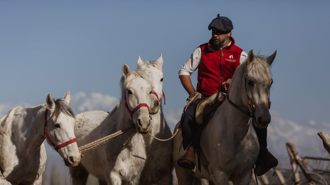 Parcourez les paysages de Mendoza avec cette excursion &agrave; cheval au coucher du soleil, incluant le go&ucirc;ter et les transferts !