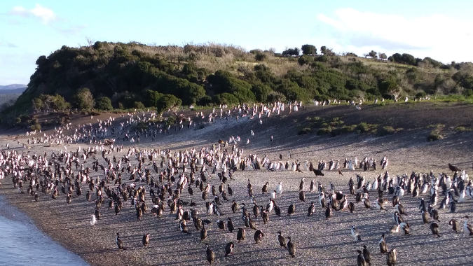 &iexcl;No dejes Pasar la Oportunidad de recorres Ushuaia, el faro del fin del mundo, ver pinguinos y mucho m&aacute;s!