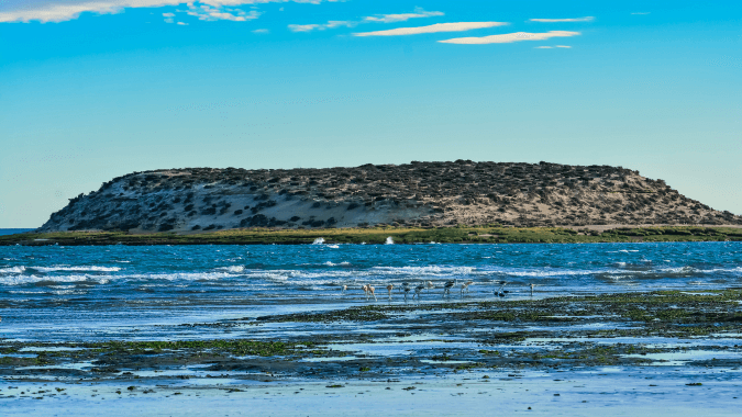 Take a close look at wild landscapes such as Isla de los Pájaros, you will be amazed! Take a close look at wild landscapes such as Isla de los Pájaros, you will be amazed!